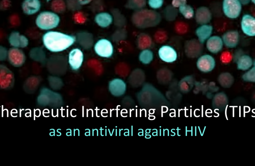 Therapeutic Interfering Particles (TIPs) as an antiviral against HIV